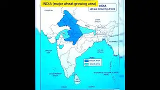 CBSE CLASS 10 GEOGRAPHY (wheat growing area)in map