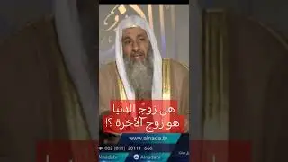 هل زوجي في الدنيا هو زوجي في الآخرة ؟! الشيخ مصطفى العدوي