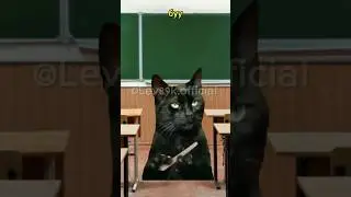 Только вундеркинды ответят на эти вопросы#хочуврек#котики#футаж#shorts Автор звука:@animatordimka