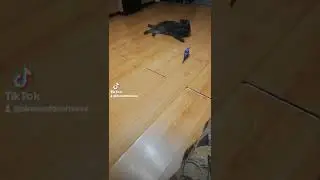 сын 