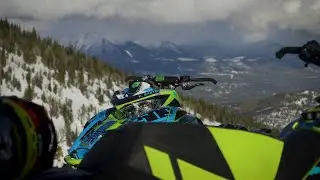 Black Cats | Soaring in Seeley