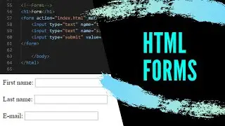 Learn HTML | How to use forms in HTML