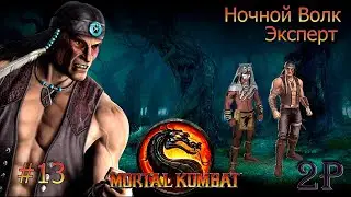 Mortal Kombat 9 - Аркада-Эксперт: Ночной Волк (часть 13)