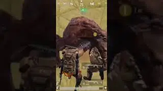 СОБАКА УБЕЖАЛА С РАДКИ В ПАБГ МОБАЙЛ 🔥😁 #pubg #pubgmobile #пабг #пабгмобайл #пубг #пубгмобайл #metro