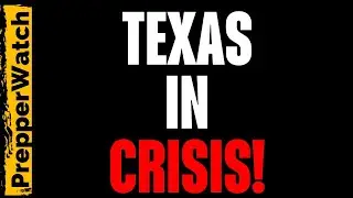 🚨 BREAKING REPORT!!!! TEXAS FACES FOOD EMERGENCY — SNAP PROGRAM COLLAPSING!