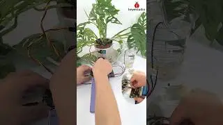 #shorts 🐞 Web-Based Irrigation Management System with ESP32 🌱💧#keyestudio #stem #coding #diy #esp32