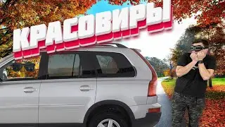 What crossovers should I buy?