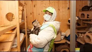 «Добрые дела» в Зеленограде, 19.02.2022 г