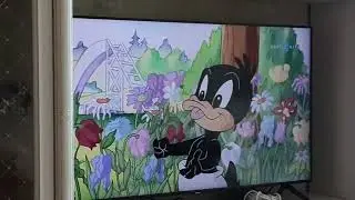 Что с Cartoonito? (17.05.2023)