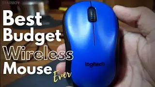 Best Budget Wireless Mouse 2020 Ever | My 2 year Experience
