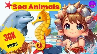 Sea Animals I Kids English educational video - Kids vocabulary