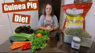 My Guinea Pigs' Diet (Low Calcium)
