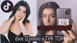 Dixie D'amelio в ТИК ТОК||ДИКСИ СЕСТРА ЧАРЛИ?||  в ТИК ТОК