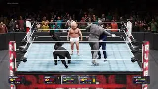 DOUBLE FINISHER