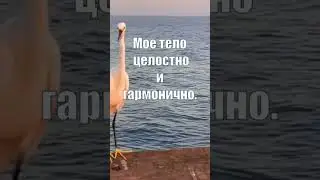 Аффирмации на Здоровье и Физическое Совершенство #аффирмации