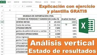 Análisis Vertical del Estado de Resultados Ejercicio con interpretación