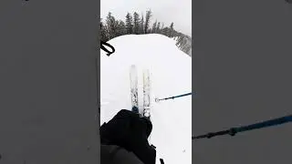 SPRING POWDER IS THE BEST (prove me wrong) 