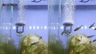 Boxtech Nano Aquarium Air Stone