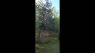 Отзыв о сетях