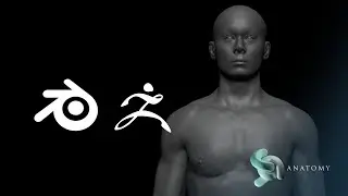Make Blender Files Work In Zbrush - Vice Versa (Quick Tip 13)