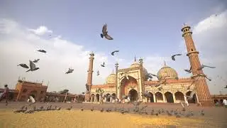 No Copyright Stock Footage - Birds Flying at mosque