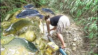 Top 9 girls used a puddle pump to catch a 10kg carp