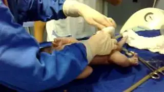 26 05 2009