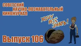 Киножурнал 