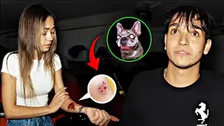 Ivanita Lomeli | I Was Bit By My Possessive Dog | Lucas and Marcus