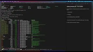 NPM: Use npm --force update / To update packages
