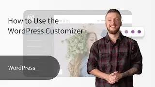 How to Use the WordPress Customizer