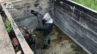 Спасаем козла