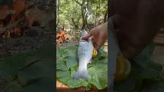 Lahana Yaprağında Levrek Balığı ve Çıtır börek 🐟| Fish in Cabbage Leaf and Crispy Pastry