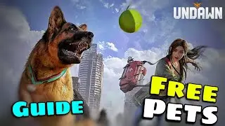 How to Get Pet Undawn