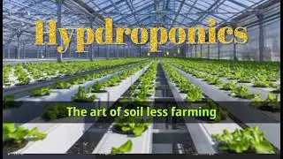 Hydroponics | by Daily English Conversation