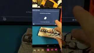 Nintendo Switch ESP32 controller