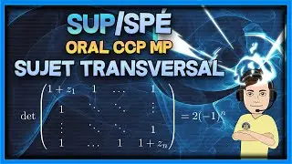[Sup/spé] Sujet transversal - oral corrigé CCP MP (calcul de déterminant avec racines de polynômes)