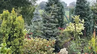 Мой сад моими глазами 🏡 ЧАСТЬ 1 🏡 Mein Garten