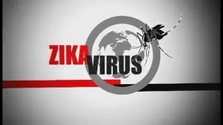 Knowledge of the Zika Virus Symptoms