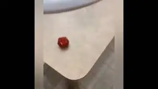 low quality memes i found in the backrooms | ylyl