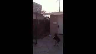 2 Y.O SHOTTING JUMPERS