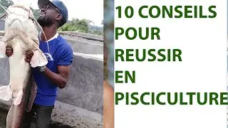 How to succeed in fish farming🐟