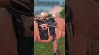 Cat's Reward StarStable Western Camp |SSO TikTok