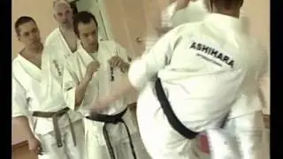 ASHIHARA Titr DvX