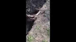 Пахота вид от плуга