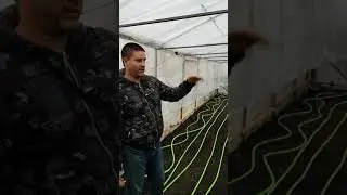 Отопление в теплице. Укладываем теплый пол