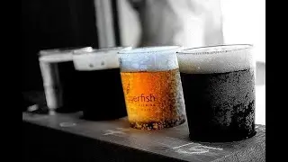 【N3研文化祭】お茶とビールとここだけの話