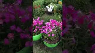 Вяжем веники, наша дача