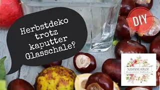 DIY-DEKOIDEE: HERBSTDEKO - TROTZ KAPUTTER GLASSCHALE???? BLUMENDEKO mit ASTERN & KASTANIEN...