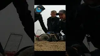 Boy Helps His Dad with Seal Rescue 